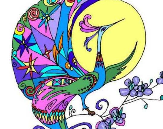 孔雀简笔画带颜色(画图步骤)