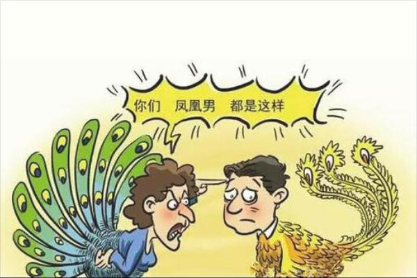 孔雀男是什么意思?