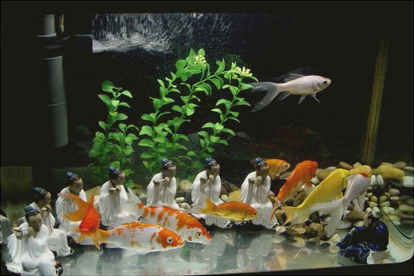 养鱼的水有什么要求?