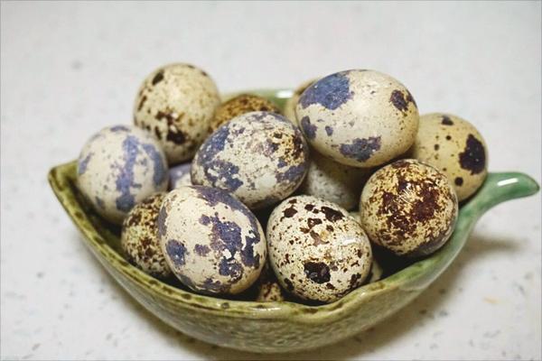 鹌鹑蛋价格多少钱一斤?