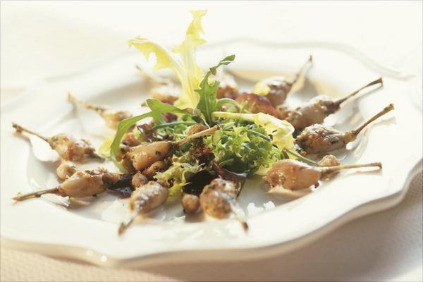 孕妇能吃鹌鹑吗?