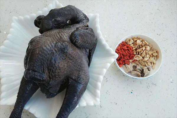 乌鸡炖什么补气血?