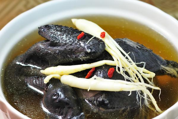 乌鸡怎么做好吃又营养?