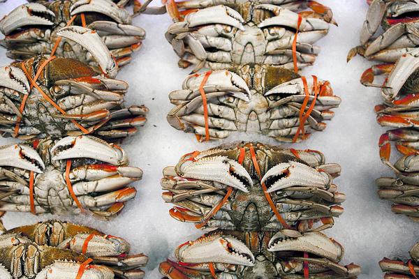 螃蟹怎么吃?螃蟹怎么做?