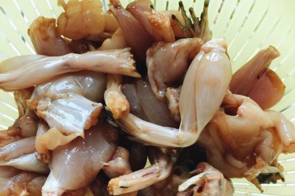 石蛙市场价格多少钱一斤?