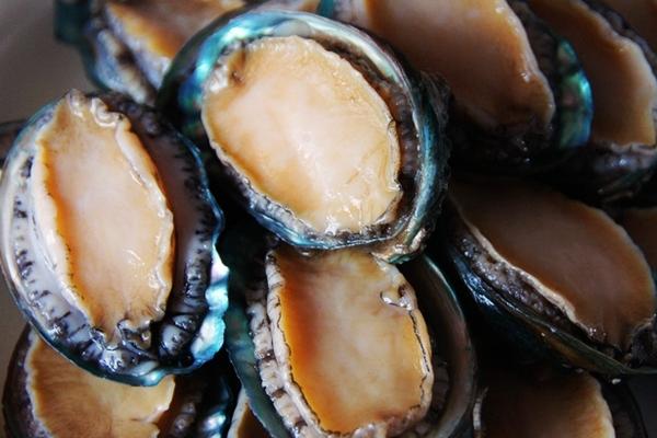 鲍鱼怎么清洗干净?