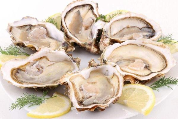 鲍鱼和生蚝的区别是什么?