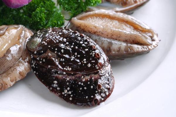 鲍鱼和生蚝的区别是什么?