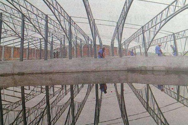 利用大棚养虾的新模式