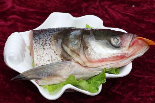 花鲢和白鲢的区别是什么?