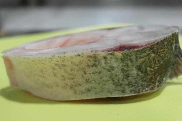 白鲢价格多少钱一斤?