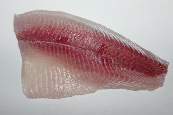 白鲢价格多少钱一斤?