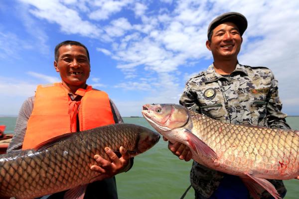 白鲢价格多少钱一斤?