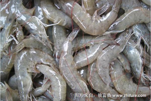 河虾怎么清洗才能洗干净?