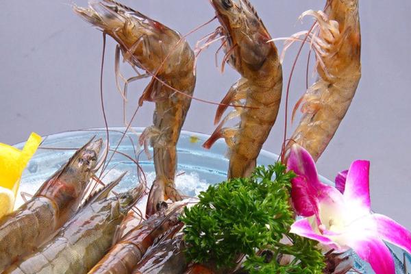 草虾是海虾还是河虾?