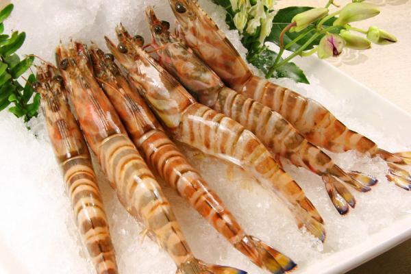 草虾是海虾还是河虾?