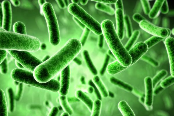 牛蛙有寄生虫吗?