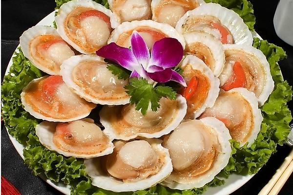 扇贝不能和什么一起吃?