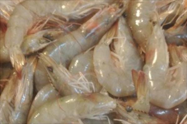 河虾价格多少钱一斤?