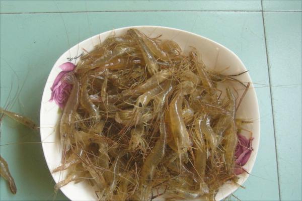 河虾价格多少钱一斤?