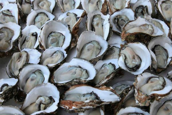 生蚝和扇贝的区别是什么?