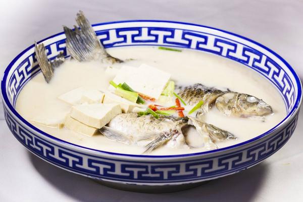 鲫鱼汤能减肥吗?