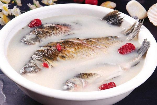 鲫鱼汤下奶吗？