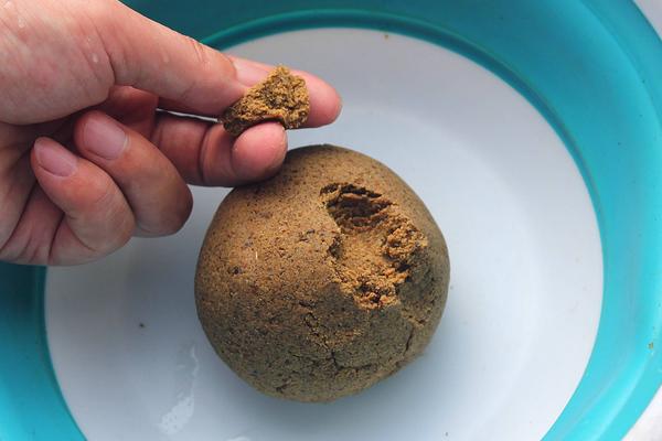 鲫鱼最喜欢吃什么饵料食物？