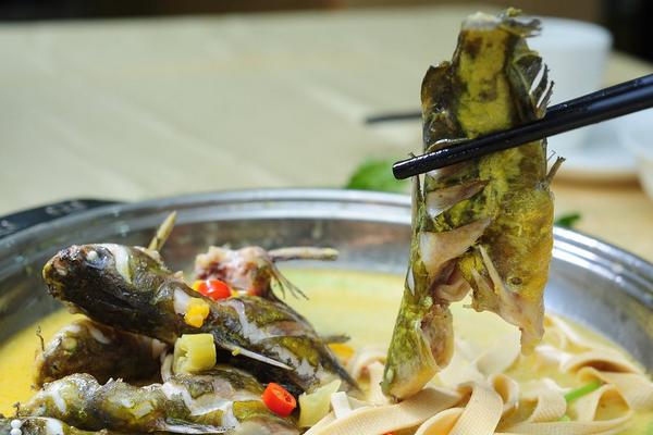 黄颡鱼孕妇能吃吗?