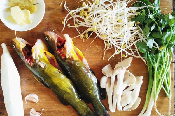 黄颡鱼孕妇能吃吗?