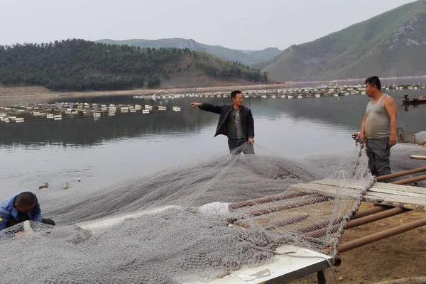 黑鱼吃什么食物?