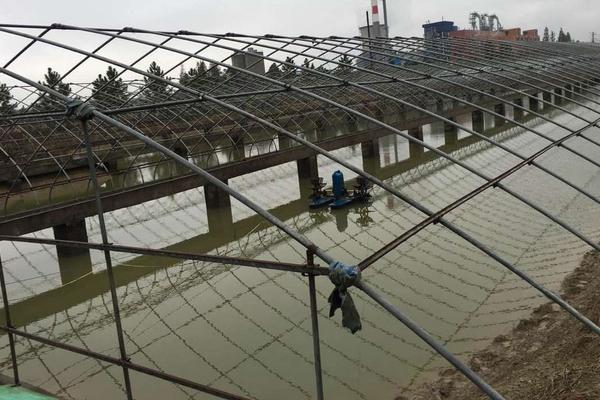 黑鱼网箱养殖技术