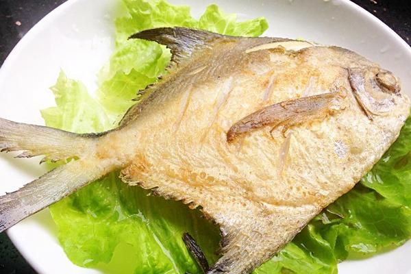 孕妇能吃白鲳鱼吗?