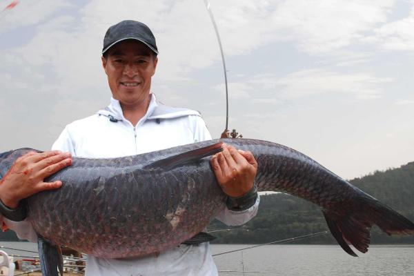 钓青鱼用什么打窝?