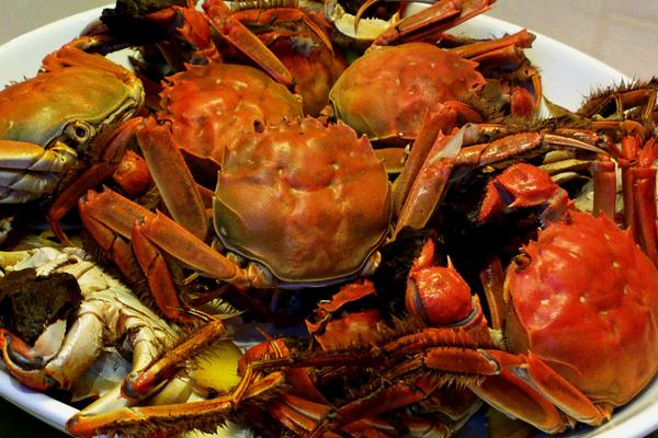 河蟹的做法大全