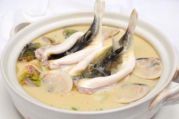 孕妇可以吃河豚吗?