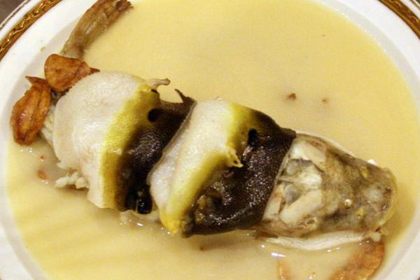 孕妇可以吃河豚吗?