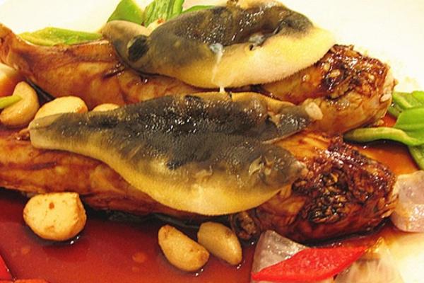 孕妇可以吃河豚吗?