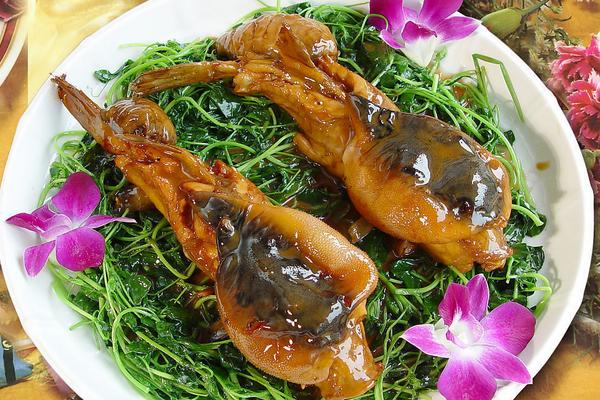 孕妇可以吃河豚吗?