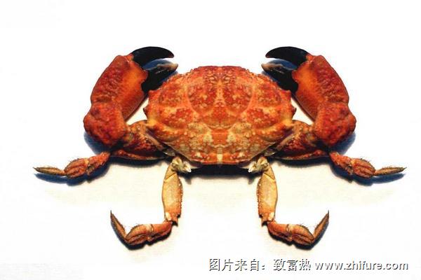 网络用语里河蟹是什么意思？