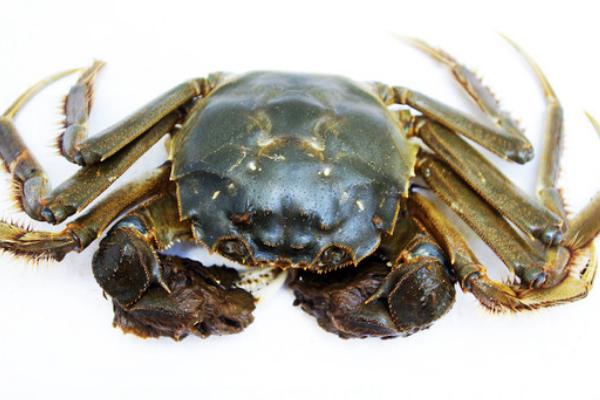 网络用于里河蟹是什么意思?