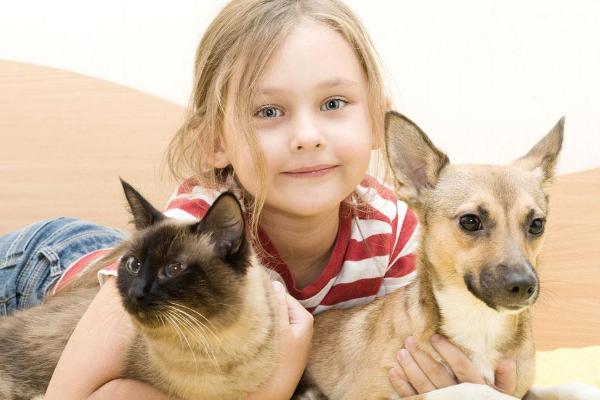 适合女生养的宠物狗品种有哪些?