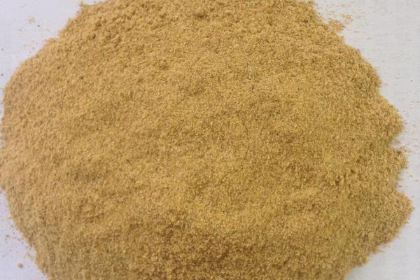 貉子饲料有哪些?