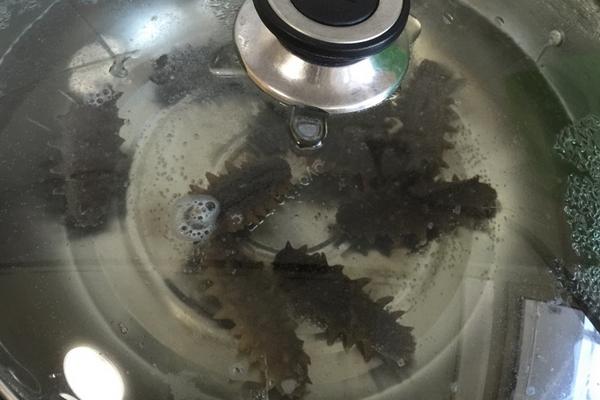 海参怎么泡发最好？