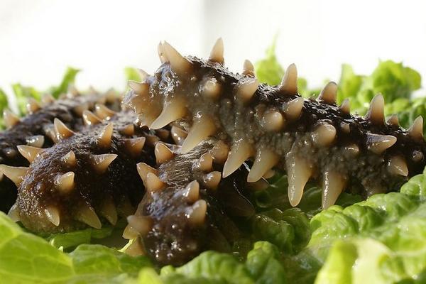 海参怎么泡发最好？