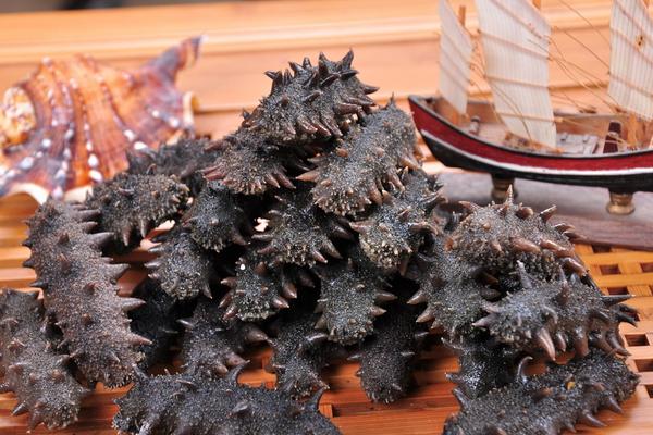 海参怎么泡发最好？