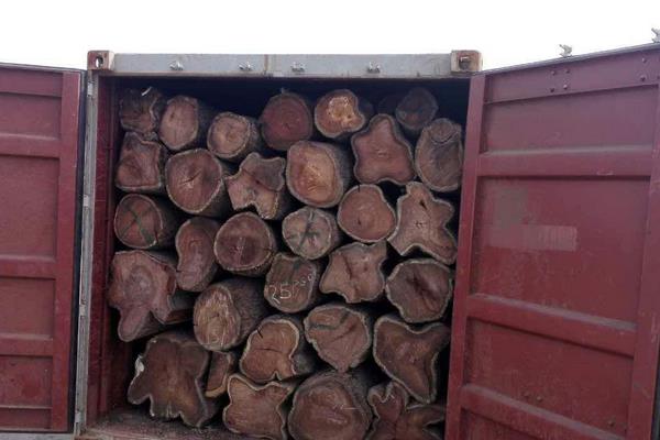 刺猬紫檀与非洲花梨的区别?