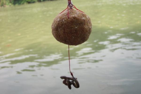 钓黑鱼用什么饵?