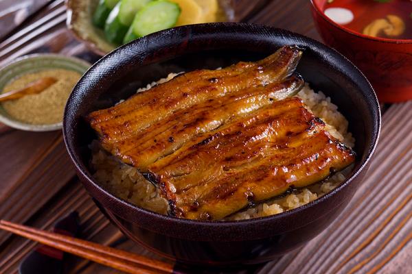 鳗鱼价格多少钱一斤？