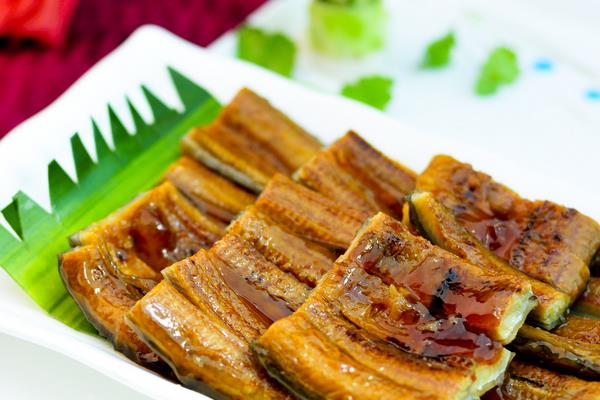 鳗鱼价格多少钱一斤？